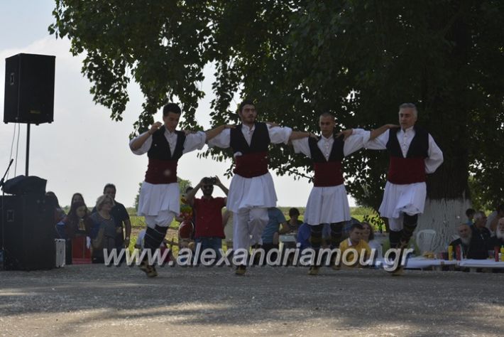 alexandriamou.gr_trikala28.5.2018121